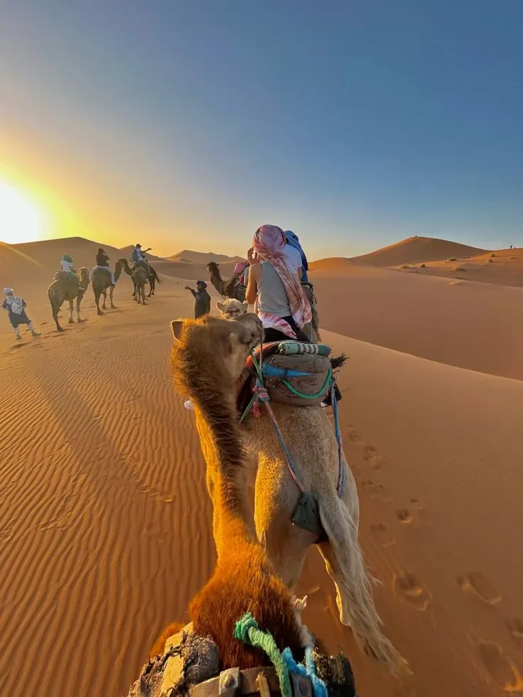 Camel Ride