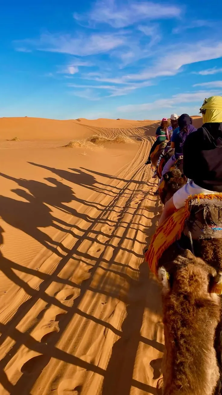 Camel Trek