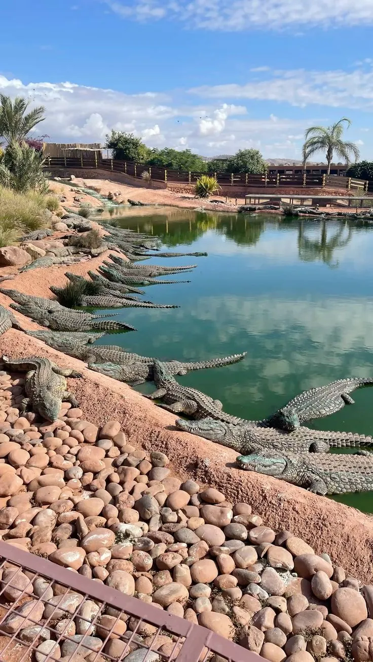 Crocoparc