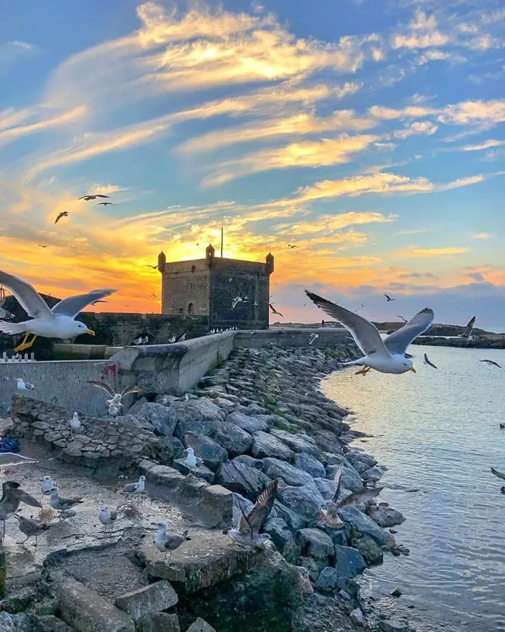 Essaouira destination
