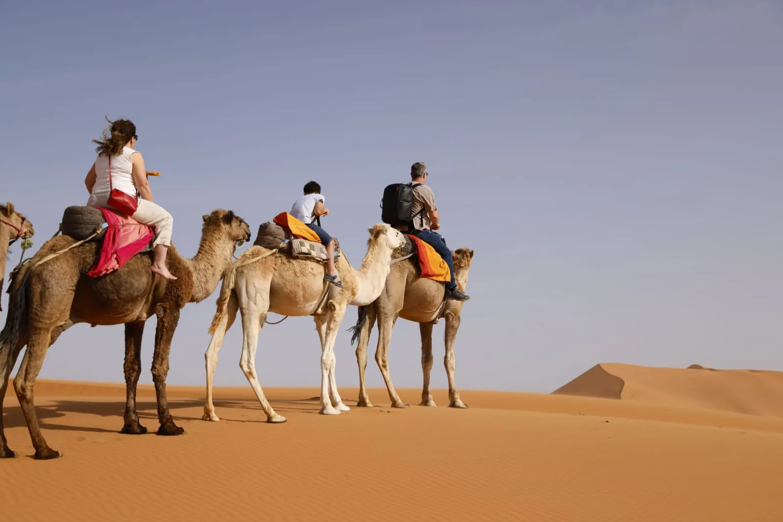 Private tour in Morocco — photo 12