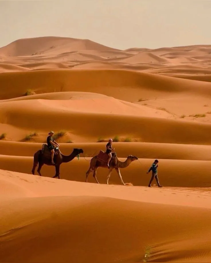 Merzouga destination